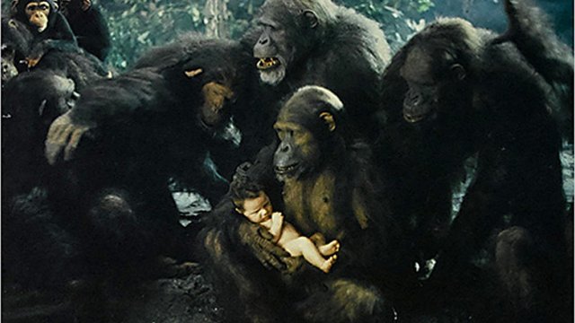 Bá Tước Greystoke Truyền Thuyết Về Tarzan - Vua Khỉ (Greystoke: The Legend Of Tarzan, Lord Of The Apes 1984)