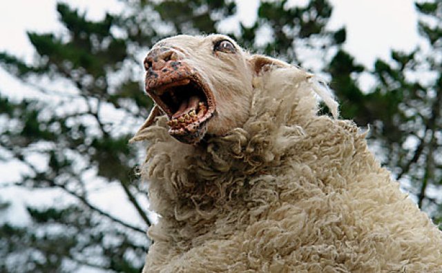 Cừu Ăn Thịt Người (Black Sheep)