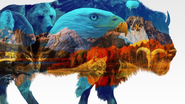 America the Beautiful (America the Beautiful 2022)