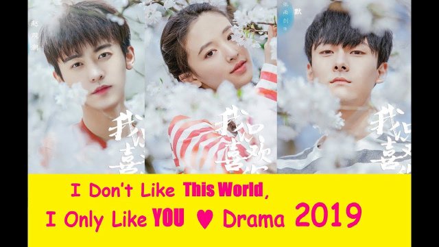 Anh Chỉ Thích Em (I Don't Like This World - I Only Like You 2019)
