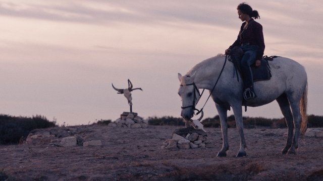 Animale (Animale 2024)