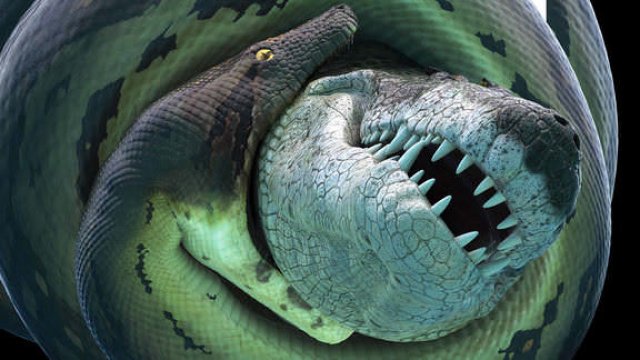Bí Ẩn Quái Vật Khổng Lồ Titanoboa (Titanoboa: Monster Snake 2012)