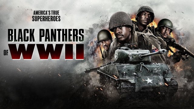 Black Panthers Of Wwii (Black Panthers Of Wwii 2025)