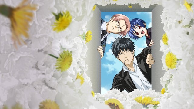 Bồ Công Anh (Dandelion)