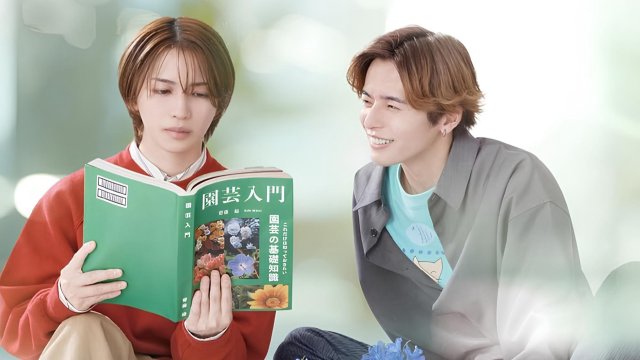 Cách Viết Tình Yêu Đúng Cách (The Proper Way To Write Love 2025)