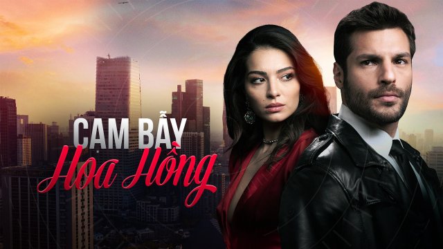 Cạm Bẫy Hoa Hồng (New Life 2020)