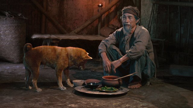 Cậu Vàng (The Old Man's Dog 2021)