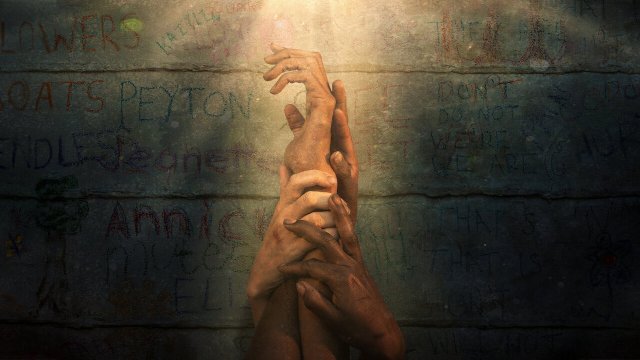 Cây hòa bình (Trees of Peace 2022)