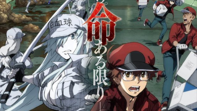 Cells at Work! BLACK (Cells at Work! BLACK 2021)