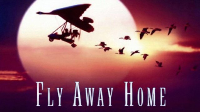 CHẮP CÁNH BAY XA (Fly Away Home 1996)