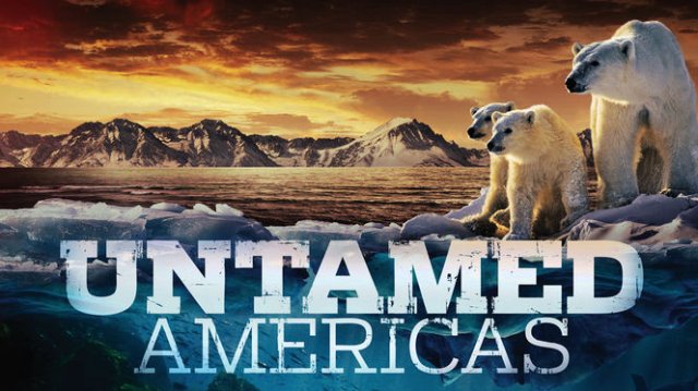 Châu Mỹ Hoang Dã (Untamed Americas 2012)