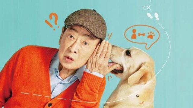 Chú Chó Biết Tuốt (Dog Knows Everything 2024)
