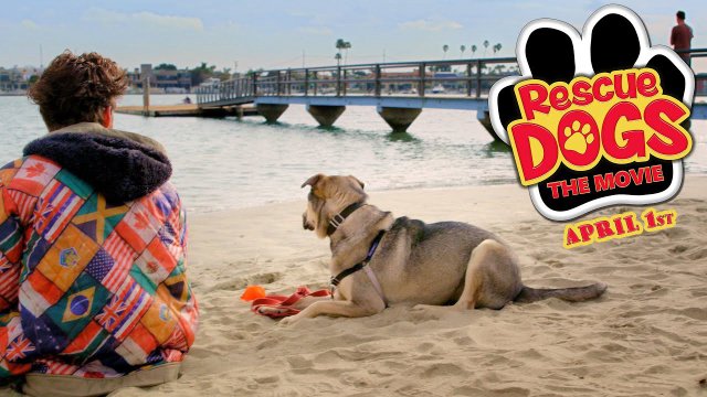 Chú Chó Cứu Hộ (Rescue Dogs 2016)