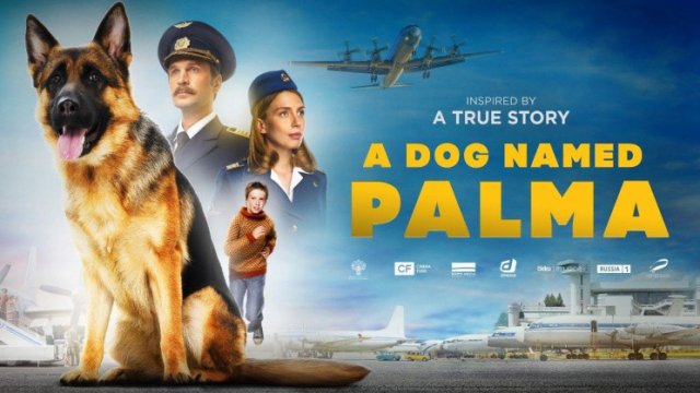 Chú Chó Palma (A Dog Named Palma 2021)