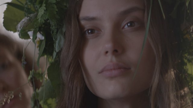 Chữa Lành (The Healing 2022)