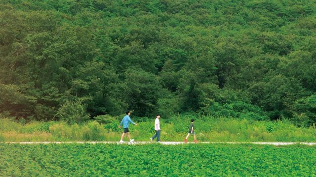 Chuông gió (Wind Bell 2022)