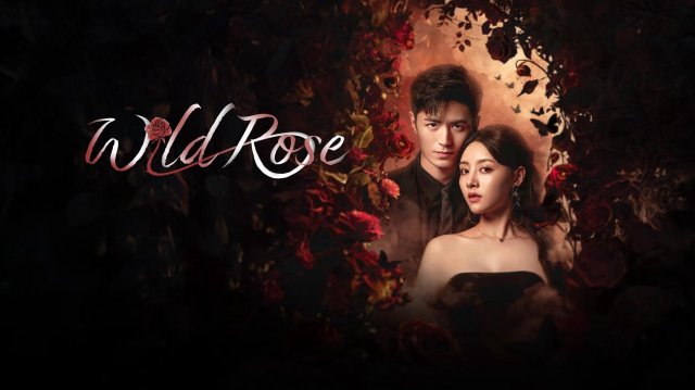 Cô Gái Thân Quen (Wild Rose 2025)