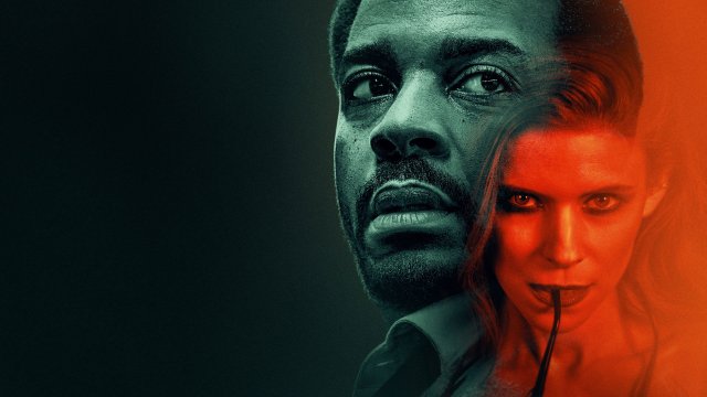 Con Gà Và Nắm Thóc (The Dutchman 2026)