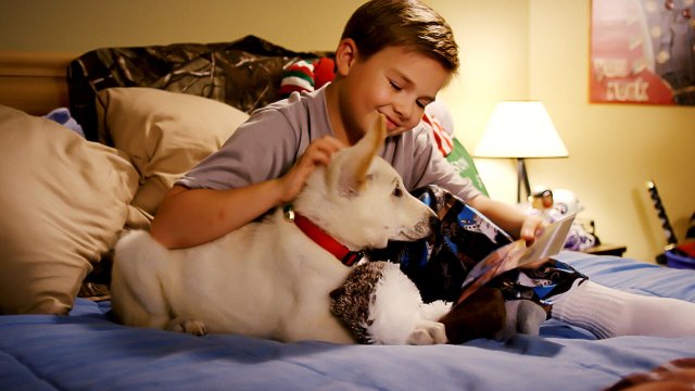 Cún Belle và Giáng sinh (A Belle for Christmas 2014)