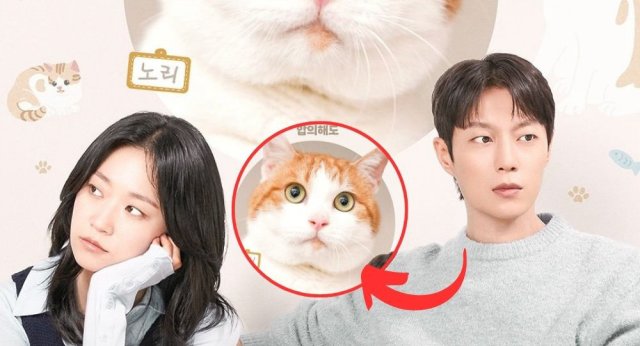 Cuộc Chiến Dành Quyền Nuôi Mèo (냥육권 전쟁 2025)