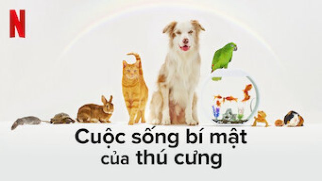 Cuộc sống bí mật của thú cưng (The Hidden Lives of Pets 2022)
