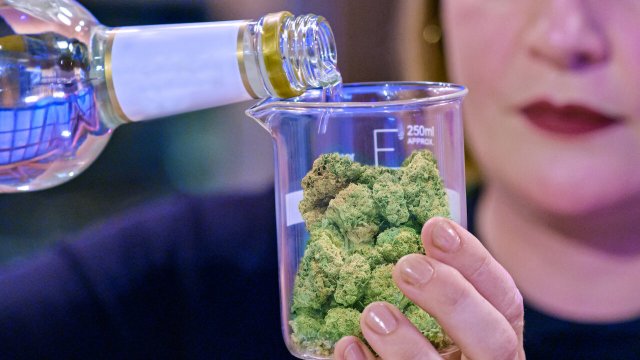 Cuộc thi nấu cần (Cooked with Cannabis 2020)