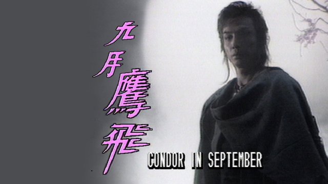Cửu Nguyệt Ưng Phi (Condor In September 1986)