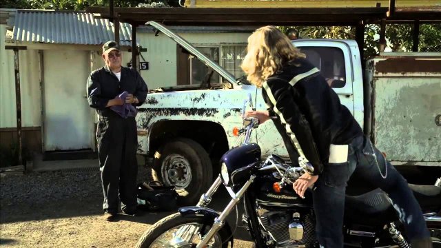 Dã Chiến Giang Hồ (Born Wild 2001)