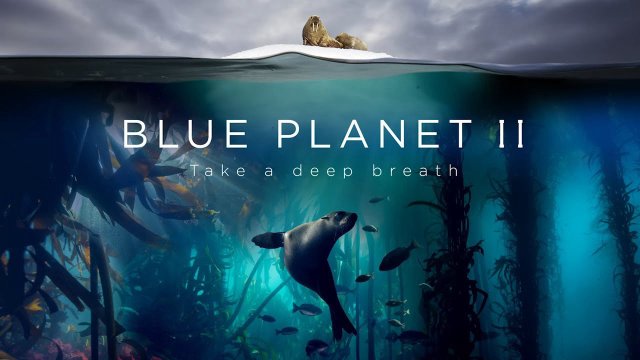 Đại Dương Sâu Thẳm 2 (The Blue Planet 2 2015)