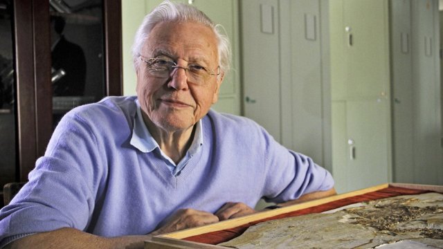 David Attenborough's Rise of Animals: Triumph of the Vertebrates (David Attenborough's Rise of Animals: Triumph of the Vertebrates 2013)
