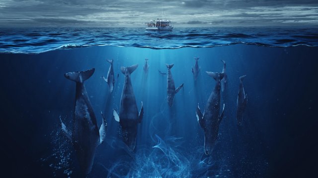 Der Schwarm (The Swarm 2023)