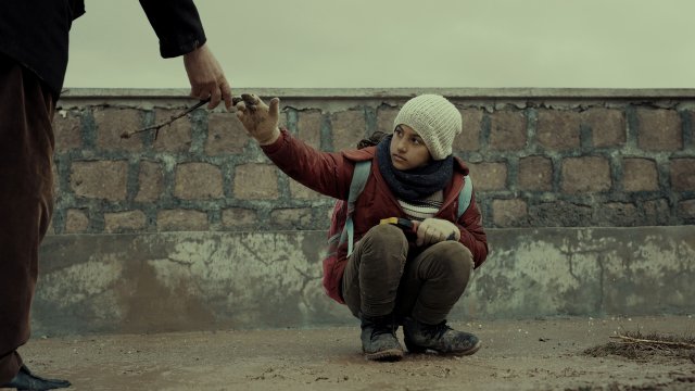 Đinh Hương Và Cẩm Chướng (Cloves & Carnations 2024)