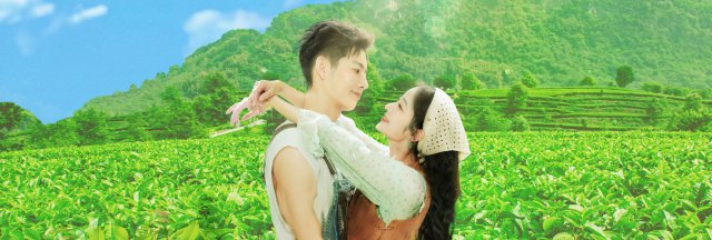 Đồi Trà Tình Yêu (Love in the Tea Garden 2024)