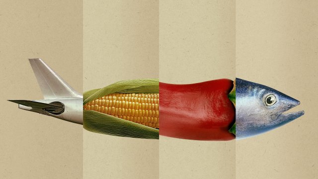 Động Vật Ăn Tạp - Omnivore (Omnivore 2024)