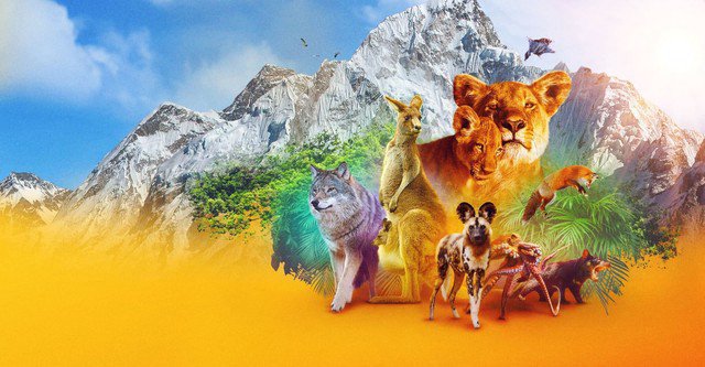 Động vật (Phần 1) (Animal (Season 1) 2021)