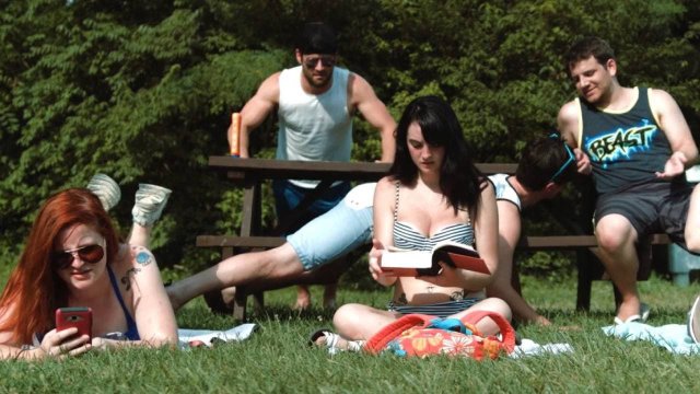 Don't Fuck in the Woods 2 (Don't Fuck in the Woods 2 2022)