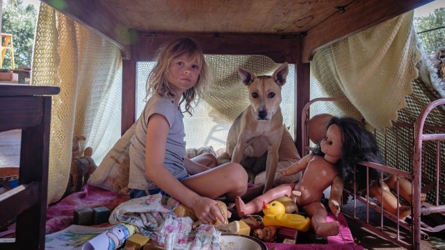 Đứa Trẻ của Chiến Tranh (Don't Let's Go to the Dogs Tonight 2025)