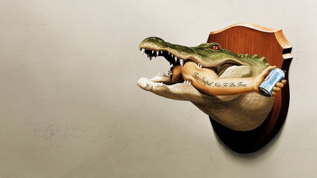 Florida Là Thế Đó (It's Florida, Man. 2024)