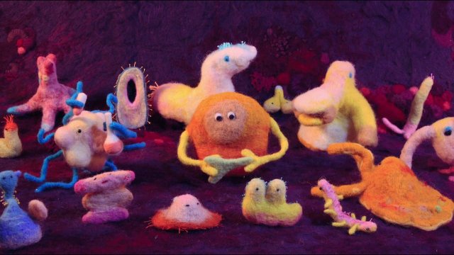 Vì Sức Khỏe: Bí Quyết Khoa Học Và Ăn Uống (Hack Your Health: The Secrets of Your Gut 2024)