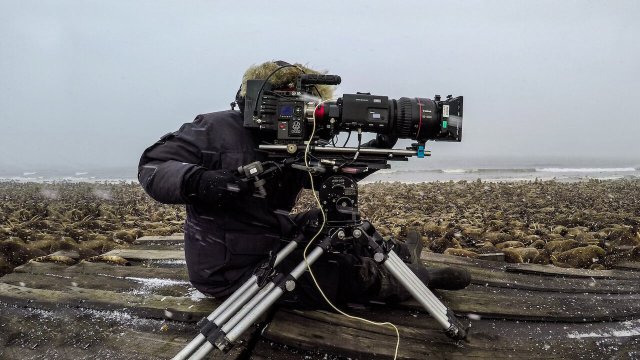 Hành tinh của chúng ta - Hậu trường (Our Planet - Behind The Scenes 2019)