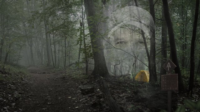 Họ Gọi Anh Ta Là Gần Như Vô Hại (They Called Him Mostly Harmless 2024)