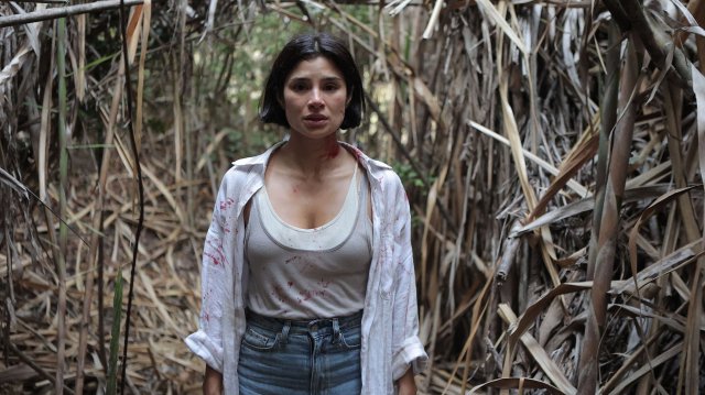 Kẻ Huýt Sáo (The Whistler 2026)