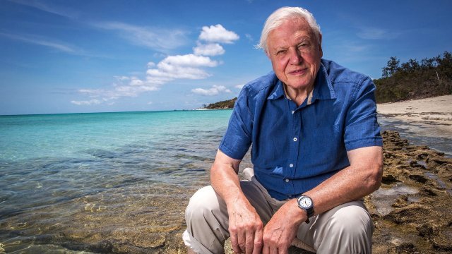 Khám Phá Rạn San Hô Great Barrier cùng David Attenborough (Great Barrier Reef with David Attenborough 2015)