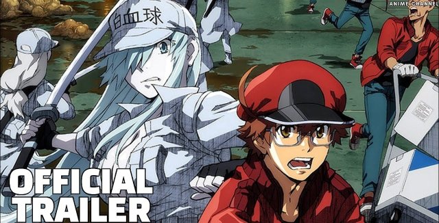 Khi các tế bào làm việc trong cơ thể trung niên BLACK (Hataraku Saibou Black 2021)