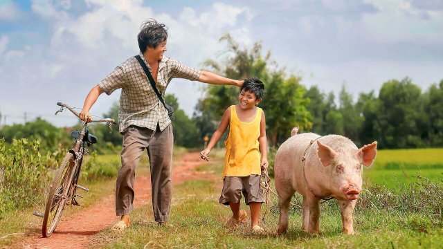 Khi con là nhà (My Son Is My Home 2017)