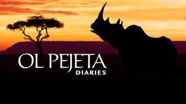 Khu Bảo Tồn Ol Pejeta Châu Phi (Phần 1) (Ol Pejeta Diaries 2015)