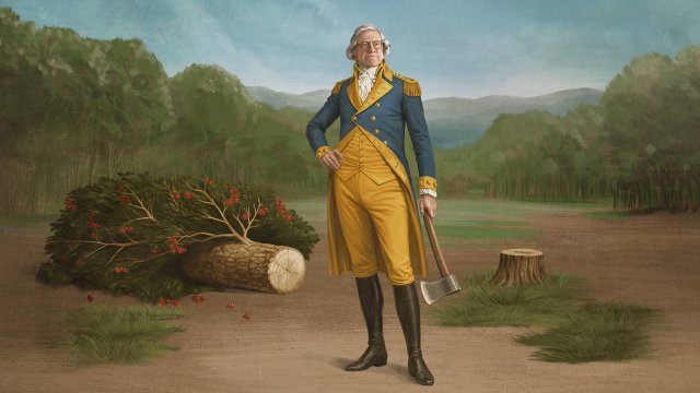 Life, Larry and the Pursuit of Unhappiness: An almost History of America (Life, Larry and the Pursuit of Unhappiness: An almost History of America)
