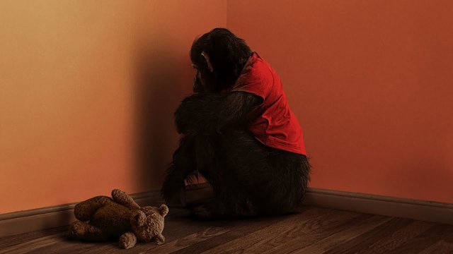 Linh Trưởng (Primate 2026)