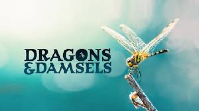 Loài Chuồn Chuồn (Dragons and Damsels 2019)