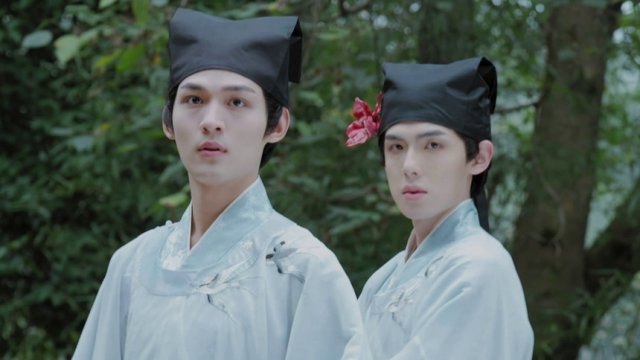 Ly Miêu Thư Sinh (The Leopard Cat Scholar 2025)